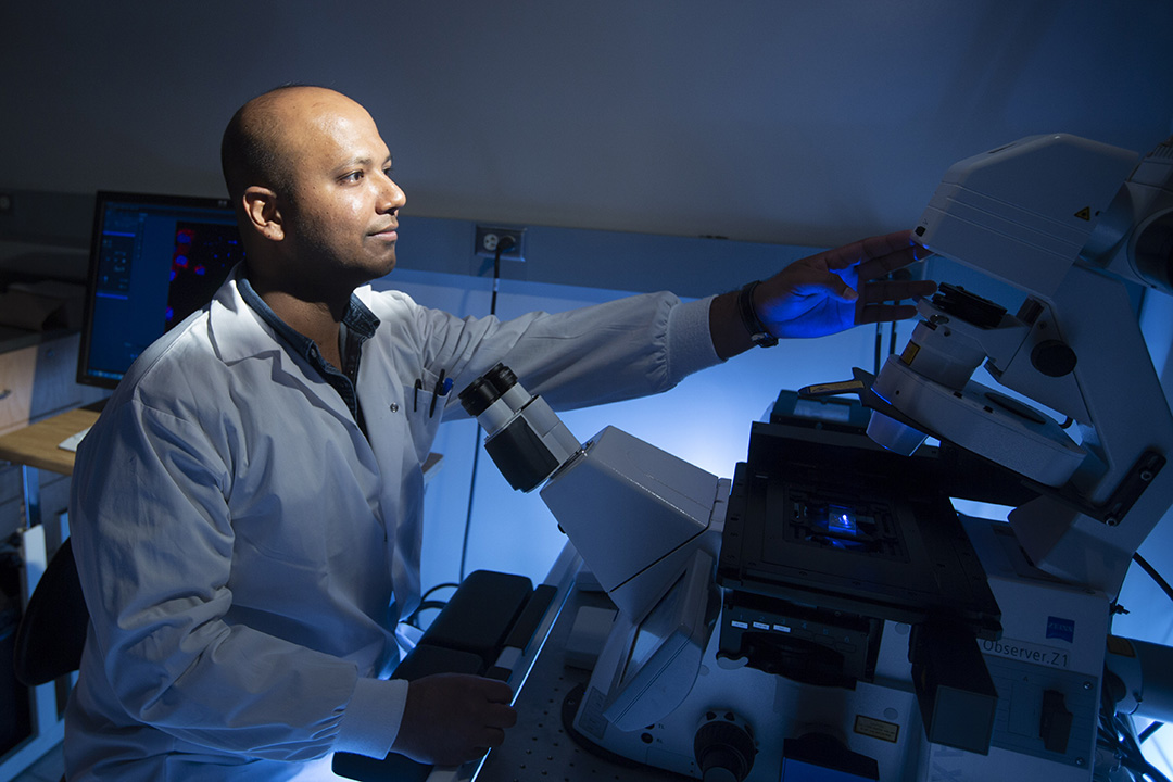 Student Raghuveera Goel studies an enzyme linked to breast cancer. (Photo: Dave Stobbe)
